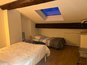Un dormitorio con dos camas y una claraboya. en Le Central Victoria VI, en Nancy