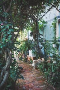 un gato sentado en un camino de ladrillo en un jardín en Mekong Pottery Homestay, Green-Friendly & Boat Tour, en Vĩnh Long