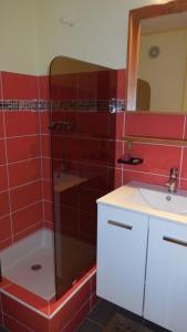 a bathroom with a shower and a sink at Duplex station alpe du grand serre in La Morte