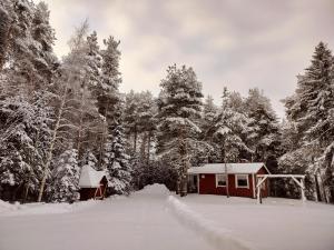 una casa nella neve vicino a una foresta di Punainen tupa a Kalajoki
