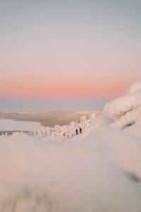 dwoje ludzi stojących na pokrytym śniegiem wzgórzu z jeziorem w obiekcie Tunturinlaita D3 w mieście Sirkka