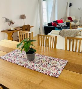 une table avec une plante en pot assise au-dessus dans l'établissement Best Location - Luxury Loft Riverview, à Heidelberg