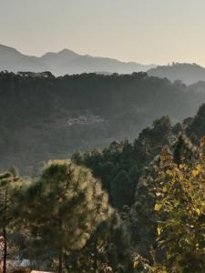a view of a forest of trees in the distance at Mid Hills Home Stay in Kasauli