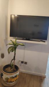 a potted plant sitting on the floor in front of a tv at Casa Ines in Guatiza