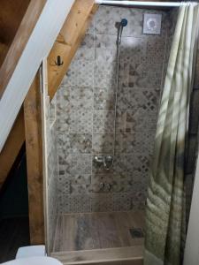 a bathroom with a shower in a attic at Vip Villa Jagodina in Jagodina