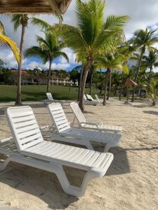 Fotografie z fotogalerie ubytování Studio vue mer - village de vacances - Sainte Anne v destinaci Sainte-Anne + 11 fotografií