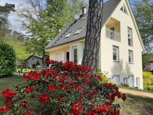 Zahrada ubytování Bansin, Ferienwohnung Bansin