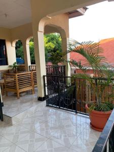 une terrasse couverte avec un portail noir et des plantes en pot dans l'établissement Avacado Homestay, à Arusha