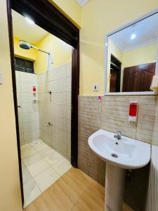 La salle de bains est pourvue d'un lavabo et d'une douche. dans l'établissement Lovely 2 Bedroom Apartment in Ongata Rongai, à Langata Rongai