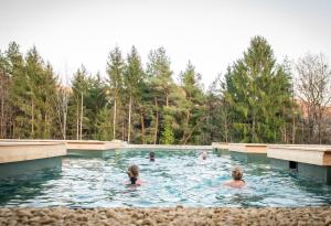 un grupo de personas nadando en una piscina en RETTER Bio-Natur-Resort, en Pöllauberg