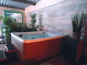 een grote hot tub in een kamer met planten bij Apartamentos Rurales & Spa La Bárcena in Enterrias