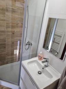 een badkamer met een wastafel, een douche en een spiegel bij Dom na Ubocy in Groń