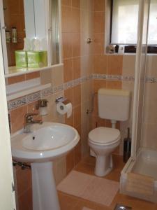 La salle de bains est pourvue de toilettes et d'un lavabo. dans l'établissement Sobe Vera, à Bovec
