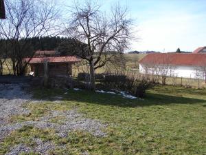 a house in a field with a tree and a fence at Blockhaus im Permakulturgarten in Argenbühl