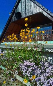 a bunch of flowers in front of a building at 4 Personen Ferienwohnung in Hohnstein +5 photos