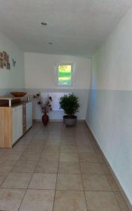 a large kitchen with two potted plants in a room at 4 Personen Ferienwohnung in Hohnstein