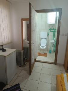 uma casa de banho com um WC, um lavatório e um chuveiro em Vila Jovana B em Rogljevo