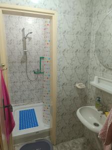 uma casa de banho com um chuveiro e um lavatório. em Vila Jovana B em Rogljevo
