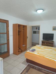 TV a/nebo společenská místnost v ubytování Vila Jovana