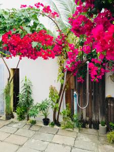 ラスドゥにあるJerrys Dive Lodge Rasdhooのピンクの花束 +17枚の写真