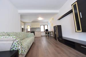 ein Wohnzimmer mit einem Sofa und einer Küche in der Unterkunft Apartament Astra BN70 in Braşov