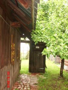 a wooden building with a door next to a tree at Sedliacka drevenica in Liptovská Osada
