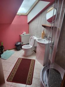 a bathroom with a shower and a toilet and a sink at Agroturystyka Świerki in Lubawka