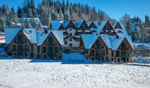 an aerial view of a lodge in the snow at Pensjonat Orlik Mountain Resort&SPA in Bukowina Tatrzańska