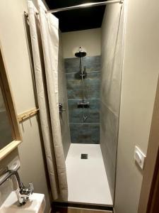 La petite salle de bains est pourvue d'une douche et d'un lavabo. dans l'établissement Émeraude - Centre-ville /Terrasse /Parking gratuit, à Roanne