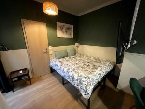een slaapkamer met een bed in een kamer met groene muren bij Émeraude - Centre-ville /Terrasse /Parking gratuit in Roanne