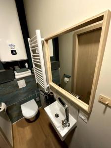een badkamer met een wastafel, een toilet en een spiegel bij Émeraude - Centre-ville /Terrasse /Parking gratuit in Roanne
