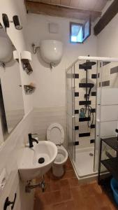 ein Bad mit einem Waschbecken, einem WC und einer Dusche in der Unterkunft piccolo appartamento in Monticiano
