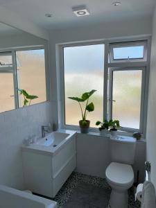 a bathroom with a toilet and a sink and two windows at The Studio in Frinton-on-Sea