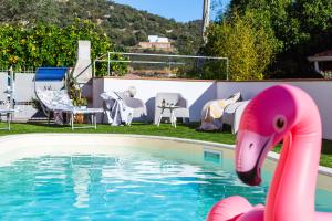 Gallery image of ByNos Pool - Primo Piano in Santa Maria Navarrese +42 photos