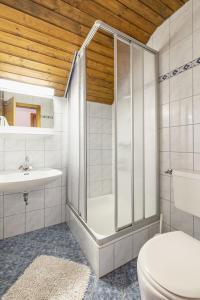 グンダースハイムにあるLissis Bauernhof Appartmentsのバスルーム(シャワー、トイレ、シンク付)