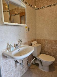 a bathroom with a sink and a toilet at Brezina Pension in Prague