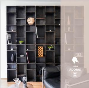 a room with a black wall with shelves at Wohnen in Wiedikon Adonis in Zurich