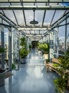 a glass greenhouse with potted plants in it at Eelhouse private studio in Amsterdam