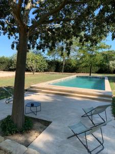 a swimming pool with two benches next to a tree at Domaine Arbaud in Redessan