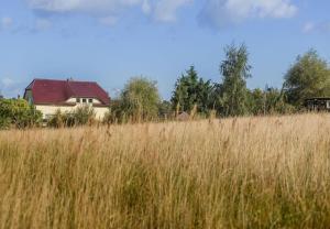 a field of tall grass with a house in the background at Haus Silbermöwe in Mariendorf