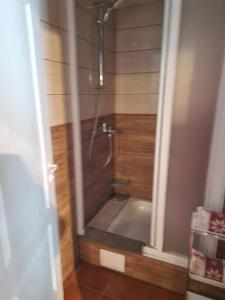 a bathroom with a shower with a bath tub at Piligrimo sodyba in Kadarės