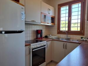a kitchen with a white refrigerator and a sink at Armenopetra in Keratokampos