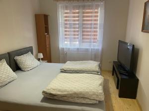 1 dormitorio con 2 camas y TV de pantalla plana en Apartament XXL, en Złotów