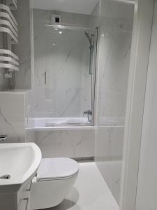 een badkamer met een douche, een toilet en een wastafel bij Apartament Mistral in Krakau