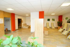 沙伊代格的住宿－RELAX-RED mit Pool und Sauna，医院的大厅,里面摆放着椅子和植物