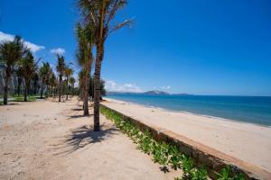 una fila de palmeras en una playa de arena en Apec Mandala Cham Bay Mũi Né, en Mui Ne