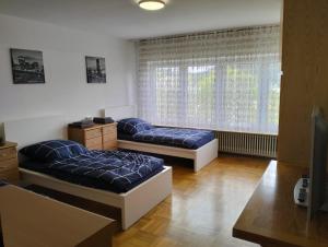 ein Wohnzimmer mit 2 Betten und einem Fenster in der Unterkunft 123-Zimmerverleih Mosbach in Mosbach