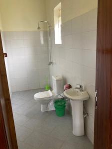 a bathroom with a toilet and a sink at Bwindi Guest House in Kinkizi