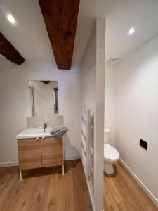 a bathroom with a sink and a toilet at "Le N3" Beaucaire centre-ville in Beaucaire +13 photos