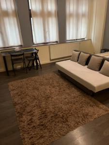 a living room with a couch and a rug at Appartement au pied de la grand place in Brussels
